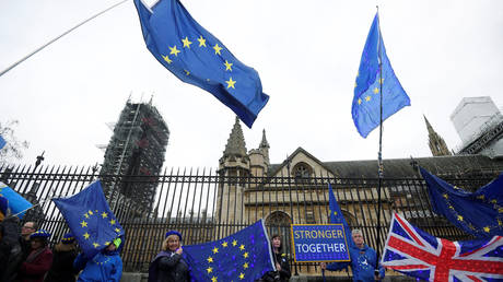 Anti-Brexit protesters outside the Houses of Parliament in London. January 2020. Toby Melville / Reuters