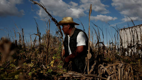 FILE PHOTO. ©REUTERS / Carlos Jasso