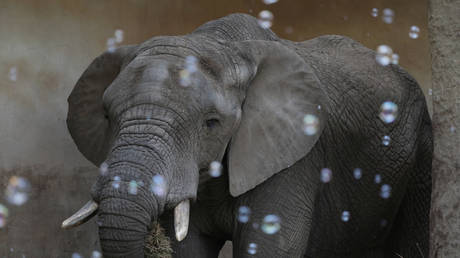 © Agencja Gazeta via REUTERS/Slawomir Kaminski