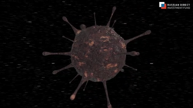 Lukashenko promises fresh elections in Belarus after new constitution is adopted via nationwide referendum