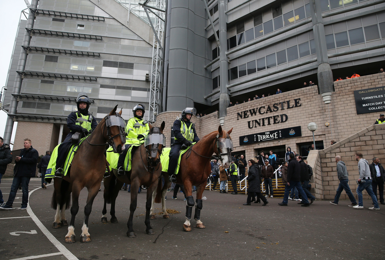 Victim of horseplay Police horse punched by English football hooligan