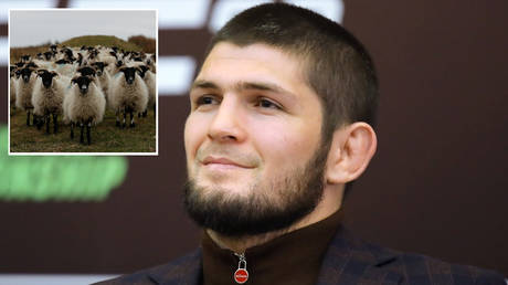 Khabib Nurmagomedov © Reuters / Lee Smith (inset);Sputnik / Vitaly Timkiv (main)