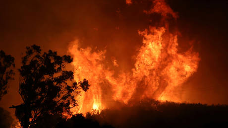 Wildfire in California, US
