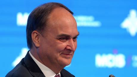 FILE PHOTO: Russian Ambassador to the US Anatoly Antonov speaks at the Fifth Moscow Conference on International Security.
