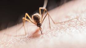 West Nile virus kills fourth patient in Spain as country battles its largest outbreak