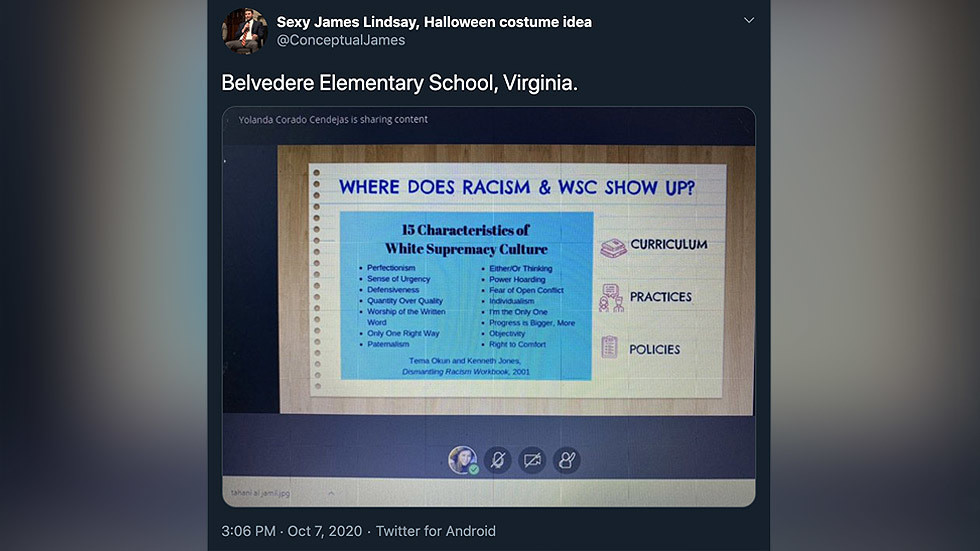 Traits like 'objectivity' and 'perfectionism' signs of RACISM and white supremacy, elementary school kids taught