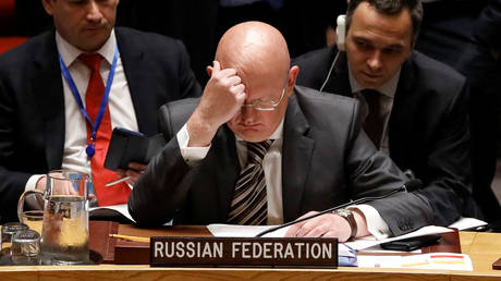 FILE PHOTO: Vassily Nebenzia, Russian Ambassador to the United Nations, at a United Nations Security Council meeting