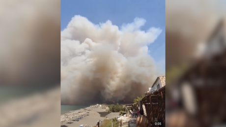 Screenshot: © Telegram / @Muraselon