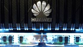 Japan's Sony & chipmaker Kioxia want to resume supplying sanctioned Huawei – report