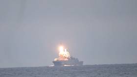 Dozens arrested as France busts major child porn network, including men suspected of sexually assaulting kids on camera