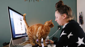 COVID-19 lockdowns are  in lockstep with the 'Great Reset'