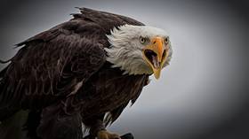 The death of the American Empire will come from suicide – Max Keiser