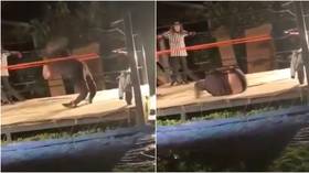 Wrestler may need leg amputated after horrific double break in stunt gone wrong (GRAPHIC)