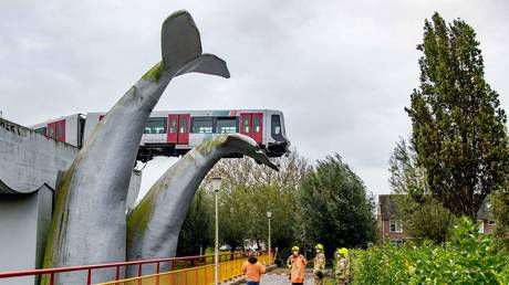 Whale of a tale! Dutch metro train crashes through barrier, lands in mid-air on giant animal sculpture (PHOTOS, VIDEO)