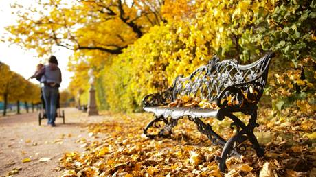 © Sputnik / Sergey Pyatakov