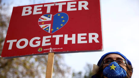 FILE PHOTO: An anti-Brexit protester holds a sign as she demonstrates near the conference center where Brexit trade negotiations are taking place, in Westminster, London, Britain, November 13, 2020. © Reuters / Henry Nicholls