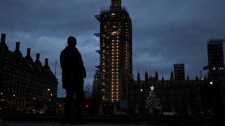 A Christmas tree is seen within the grounds of the Houses of Parliament, in London, Britain on November 21, 2020.