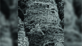 ‘Like having billions of tiny 3D printers’: Scientists train BACTERIA to build complex microscopic structures