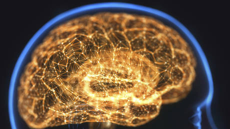 Illustration: © Getty Images/KTSDESIGN/SCIENCE PHOTO LIBRARY