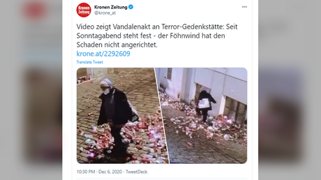 &lsquo;Who would do that?&rsquo; Austrians shocked after seeing VIDEOS of vandal trashing memorial to victims of Vienna terrorist attack