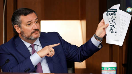 Ted Cruz to argue GOP-led Pennsylvania election case if US Supreme Court takes up appeal, calls for end to &lsquo;bitter division&rsquo;