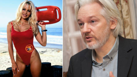 Combined image: Pamela Anderson © Global Look Press/Rights Managed via www.imago-ima/Assange: © David G Silvers. Cancillería del Ecuador