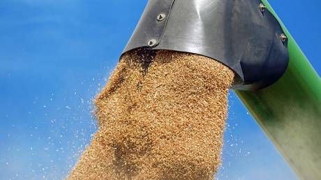 Russia on track to have one of its largest-ever grain harvests