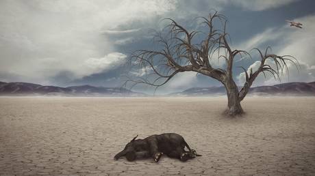 Global mass extinctions follow regular 27-million-year cycle, may be linked to Earth&rsquo;s journey through Milky Way