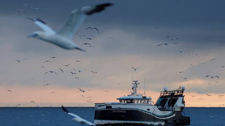 Fishermen fish aboard the Lorient based trawler "Le Dolmen" in the North Sea (FILE PHOTO) © REUTERS/Pascal Rossignol
