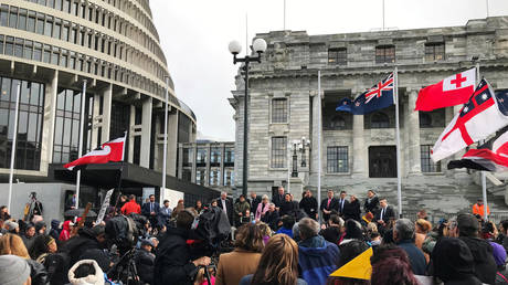 Ministers address Maori protesters gathered to demonstrate against what they say is the disproportionate number of Maori children taken by social service agencies from their families, in Wellington, New Zealand, July 30, 2019. © Reuters / Praveen Menon