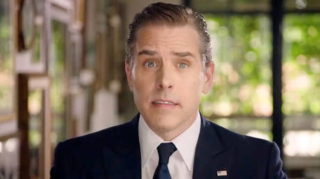 Hunter Biden speaks by video feed during the 2020 Democratic National Convention. © Reuters / DNC