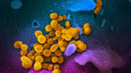 Britain blasted by Iranian health minister for two-month secrecy on &lsquo;highly contagious&rsquo; mutant strain of Covid-19