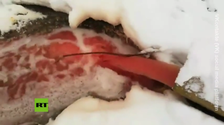 River of blood: Russia to investigate over ecology concerns after Karelian water turns red due to slaughter at local fish farm