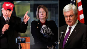 ‘Chickens coming to roost?’ Gingrich roasted after attacking pro-Trump lawyers for telling Georgians not to vote in Senate runoffs
