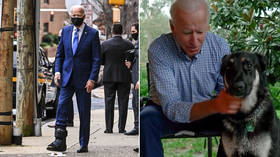 ‘Is Joe a four-year-old?’ Biden offers ‘bizarre’ story of breaking foot, says he pulled dog’s tail while getting out of shower