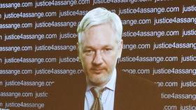 Possibility of Trump pardoning WikiLeaks’ Assange sets social media alight after rumor about decision surfaces