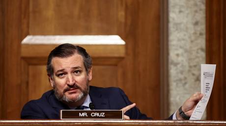 Senator Ted Cruz is shown at a Senate Judiciary Committee hearing in November.