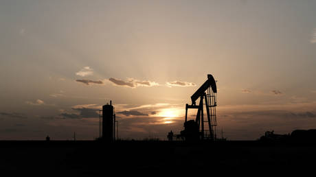 &lsquo;Should&rsquo;ve studied green tech&rsquo;: Eco-Twitter dunks on oil industry graduates who can&rsquo;t find jobs due to Covid