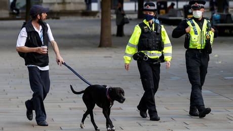 FILE PHOTO: Police officers wearing protective masks look at a dog, amid the outbreak of the coronavirus disease (COVID-19), in Manchester, Britain October 20, 2020