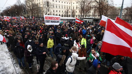 Protestors rally against the coronavirus disease measures and their economic consequences in Vienna. © Reuters / Lisi Niesner