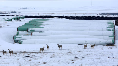 FILE PHOTO: A depot used to store pipes for TC Energy Corp's planned Keystone XL oil pipeline is seen in Gascoyne, North Dakota, January 25, 2017