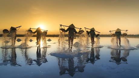 Salt harvesting in Vietnam © Pixabay.com / Quang Nguyen vinh