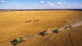 Russia keeps global grain supplies high despite Covid crisis