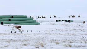 Canada scrambles to save Keystone XL pipeline expansion before Biden administration scraps it