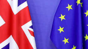‘Not a friendly signal’: EU foreign affairs chief hits back at UK snubbing bloc’s request for full diplomatic status