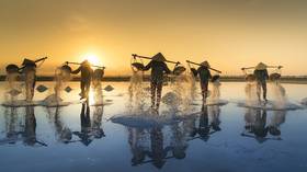 Vietnam was Asia’s top-performing economy during pandemic of 2020