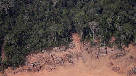 FILE PHOTO: An aerial view of logs illegally cut from Amazon rainforest are seen in sawmills near Humaita, Amazonas State, Brazil August 22, 2019.