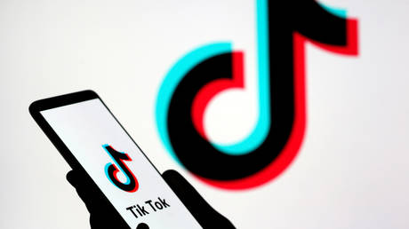 FILE PHOTO: A person holds a smartphone with Tik Tok logo displayed in this picture illustration taken November 7, 2019. Picture taken November 7, 2019.