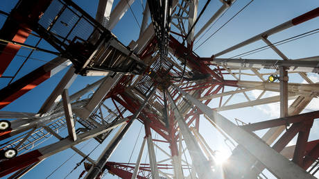 © Reuters/Maxim Shemetov