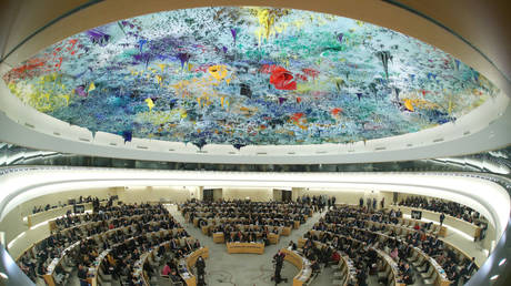 UN Human Rights Council in session © Reuters / Denis Balibouse